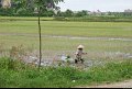 Vietnam - Cambodge - 0413
